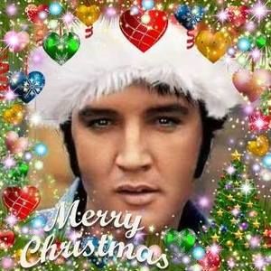 Meet your Posher, Susie